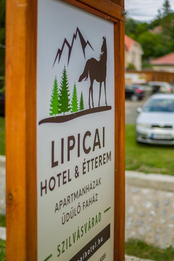 Lipicai Ifjusagi Szallo ซิลวาชวาร็อด ภายนอก รูปภาพ